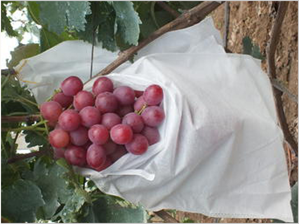 ������ݷ�˪�޷Ĳ���ũҵ�޷Ĳ�����������ũҵ�޷Ĳ���Ӧ����;��������ʱ 